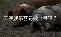 天辰娱乐容易被封号吗？资深玩家揭秘防封技巧与平台选择