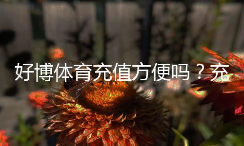 好博体育充值方便吗？充值流程、支付方式与到账速度一文看懂
