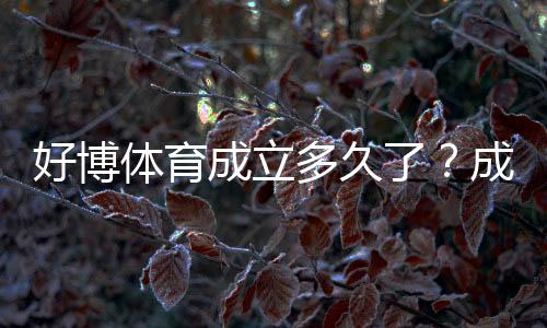 好博体育成立多久了？成立时间、发展历程与资质可信度全解析