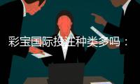 彩宝国际投注种类多吗：看看游戏大厅就知道