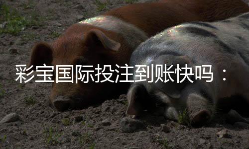 彩宝国际投注到账快吗：体验分享