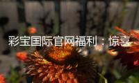 彩宝国际官网福利：惊喜不断优惠精彩