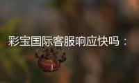 彩宝国际客服响应快吗：专业分析与真实体验