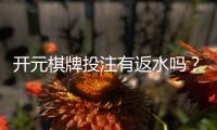 开元棋牌投注有返水吗？揭秘返水规则与实战技巧