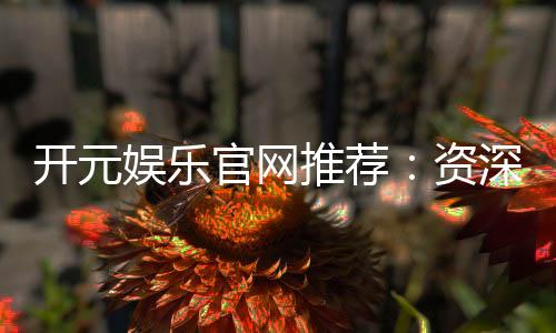 开元娱乐官网推荐：资深玩家揭秘最佳游戏体验与优惠攻略