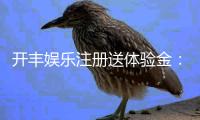 开丰娱乐注册送体验金：新手必领的豪礼与实战技巧