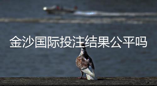 金沙国际投注结果公平吗?深度解析平台公正性与玩家实测反馈