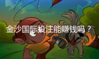 金沙国际投注能赚钱吗？揭秘稳定盈利的实战技巧与风险规避