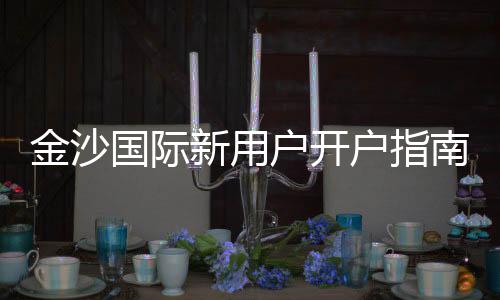 金沙国际新用户开户指南：轻松注册畅享豪华游戏体验