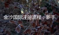 金沙国际注册流程：新手必看5步轻松开户指南