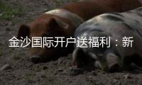 金沙国际开户送福利：新会员专享豪礼与高额返水优惠