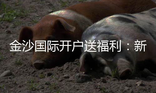 金沙国际开户送福利:新会员专享豪礼与高额返水优惠
