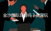 金沙国际靠谱吗？资深玩家揭秘平台真实体验与安全攻略