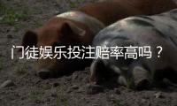 门徒娱乐投注赔率高吗？深度解析其赔率优势与实战策略