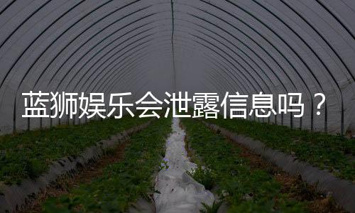 蓝狮娱乐会泄露信息吗？深度解析平台安全性及隐私保护措施
