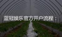 蓝冠娱乐官方开户流程：轻松三步完成注册畅享游戏乐趣