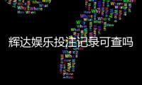 辉达娱乐投注记录可查吗？详解查询方法与注意事项