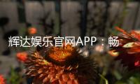 辉达娱乐官网APP：畅享顶级棋牌电游的必备神器