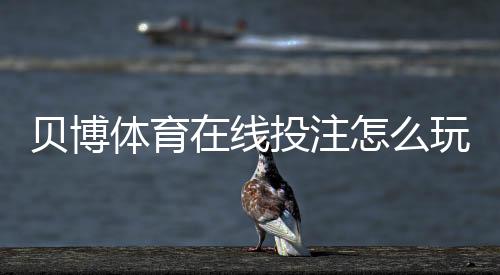 贝博体育在线投注怎么玩？新手入门、玩法详解与安全攻略