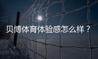 贝博体育体验感怎么样？真实用户评测：界面、下注、客服与出款全方位解析