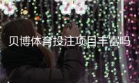 贝博体育投注项目丰富吗？平台玩法全解析与热门投注类型指南