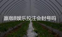 赢咖8娱乐投注会封号吗？揭秘平台风控规则与防封技巧