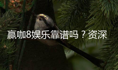 赢咖8娱乐靠谱吗？资深玩家亲测体验分享