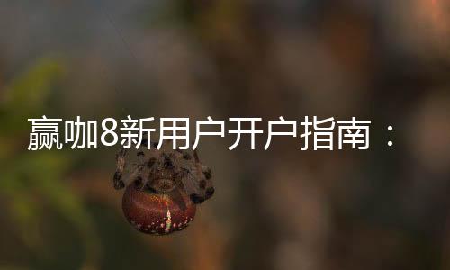 赢咖8新用户开户指南：轻松注册领豪礼畅享棋牌娱乐盛宴