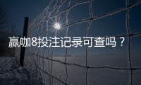 赢咖8投注记录可查吗？一文详解查询方法与注意事项