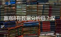 赢咖8有数据分析吗？深度解析其数据统计与胜率算法