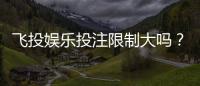 飞投娱乐投注限制大吗？深度解析平台规则与玩家应对策略