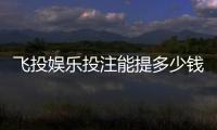 飞投娱乐投注能提多少钱？揭秘提款额度与到账时间全攻略