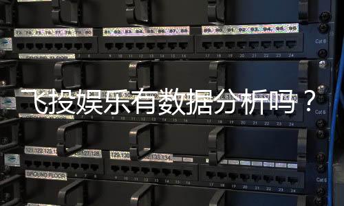 飞投娱乐有数据分析吗？深度解析其数据功能与玩家体验