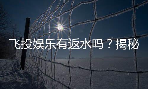 飞投娱乐有返水吗？揭秘返水优惠与玩法攻略
