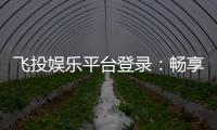 飞投娱乐平台登录：畅享顶级电子游艺与棋牌投注体验
