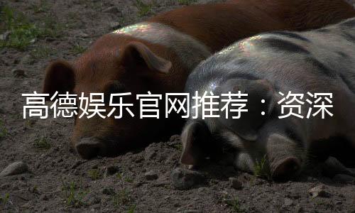 高德娱乐官网推荐：资深玩家揭秘最佳游戏体验与优惠活动