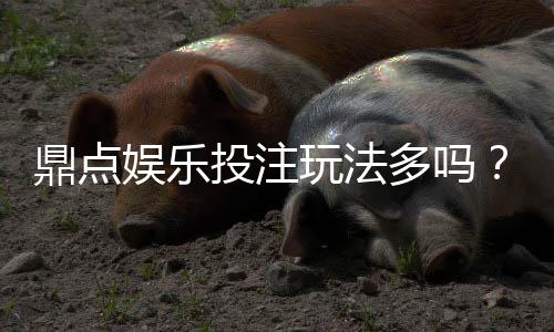 鼎点娱乐投注玩法多吗？深度解析平台多元游戏与特色玩法