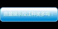鼎盛娱乐投注种类多吗：探寻不同玩法的魅力