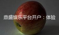 鼎盛娱乐平台开户：体验高品质电子游艺乐趣