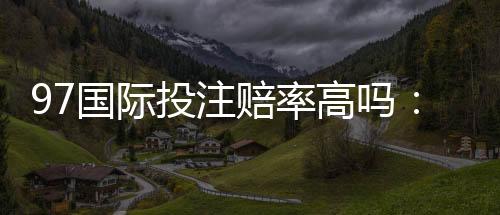 97国际投注赔率高吗：实力解析