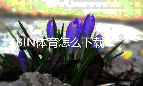 BBIN体育怎么下载？安卓iOS下载安装图文教程与常见问题解答