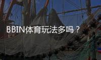BBIN体育玩法多吗？新手必看玩法总览与实用投注攻略