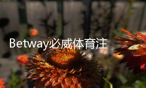 Betway必威体育注册送体验金怎么领取与使用？新手注册攻略与注意事项
