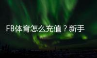 FB体育怎么充值？新手快速充值步骤图文教程支付方式与安全注意事项