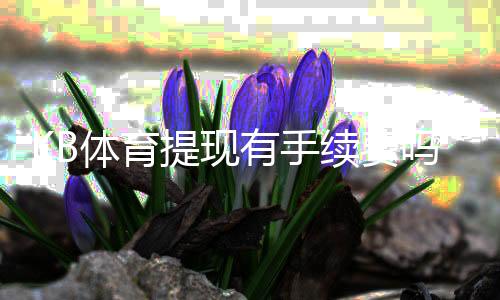 KB体育提现有手续费吗？最新提现费用标准、到账时间与免手续费攻略