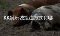 KK娱乐城投注方式有哪些？详解主流玩法与特色下注技巧