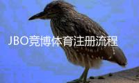 JBO竞博体育注册流程详解：新手快速开户攻略与常见问题解答