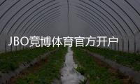 JBO竞博体育官方开户流程详解：新手注册步骤与注意事项
