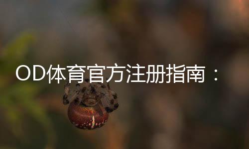 OD体育官方注册指南：官网开户步骤、实名认证与安全设置详解