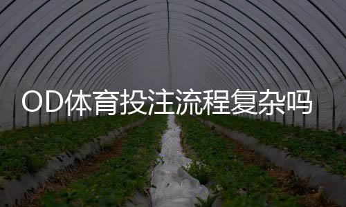 OD体育投注流程复杂吗？一文看懂开户、充值、投注到提现全流程